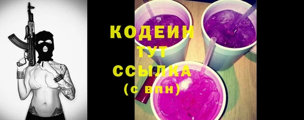 прущие грибы Бронницы