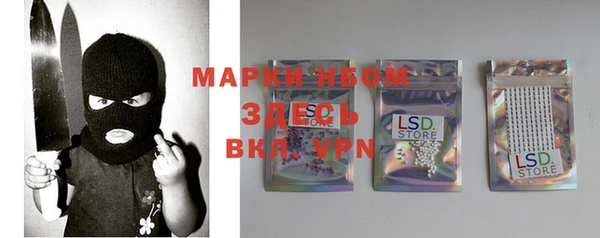 прущие грибы Бронницы
