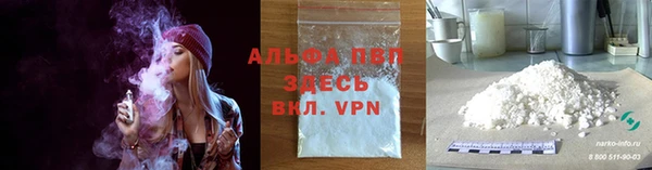 прущие грибы Бронницы