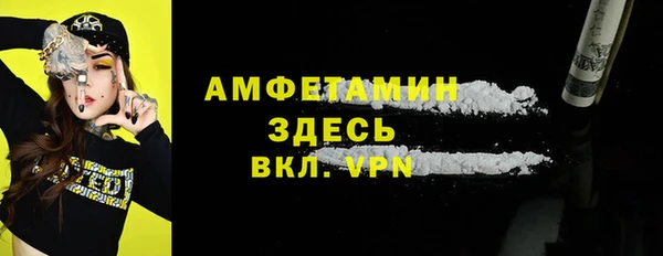 прущие грибы Бронницы