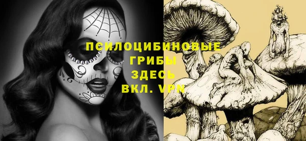 герыч Бородино