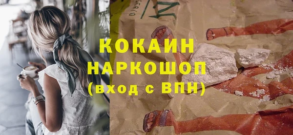 прущие грибы Бронницы
