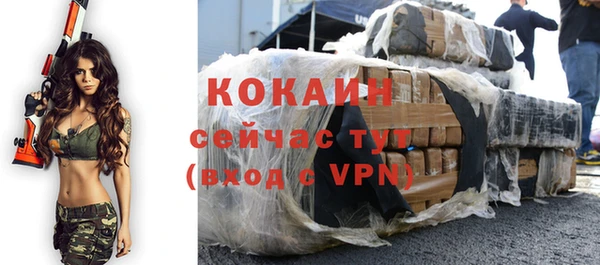 прущие грибы Бронницы