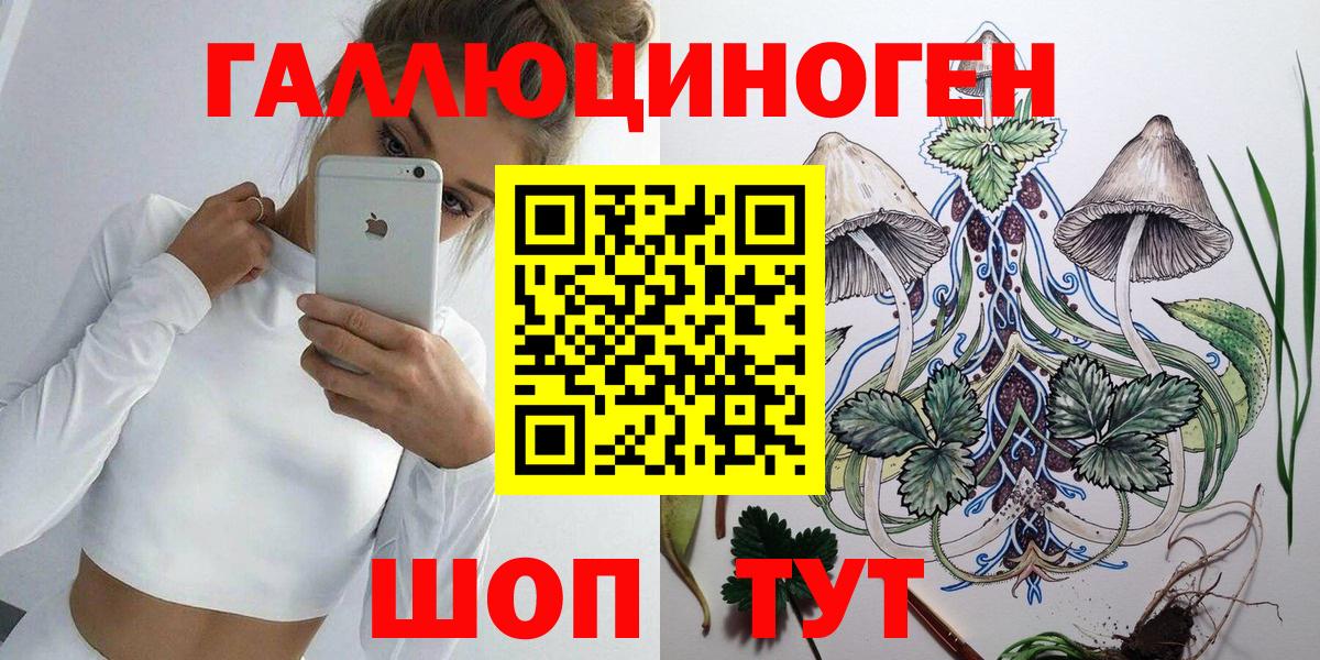 Буйнакск  Псилоцибиновые грибы GOLDEN TEACHER  Вход с VPN 